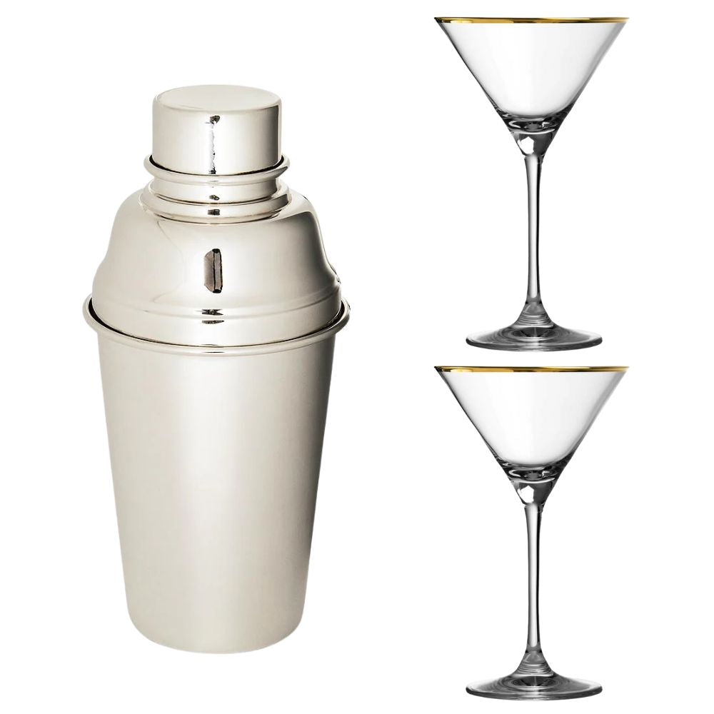 Set luxueux de shaker argenté et de verres à bord doré