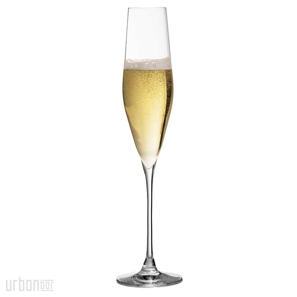 Copa de champán de cristal Bacci de 19 cl