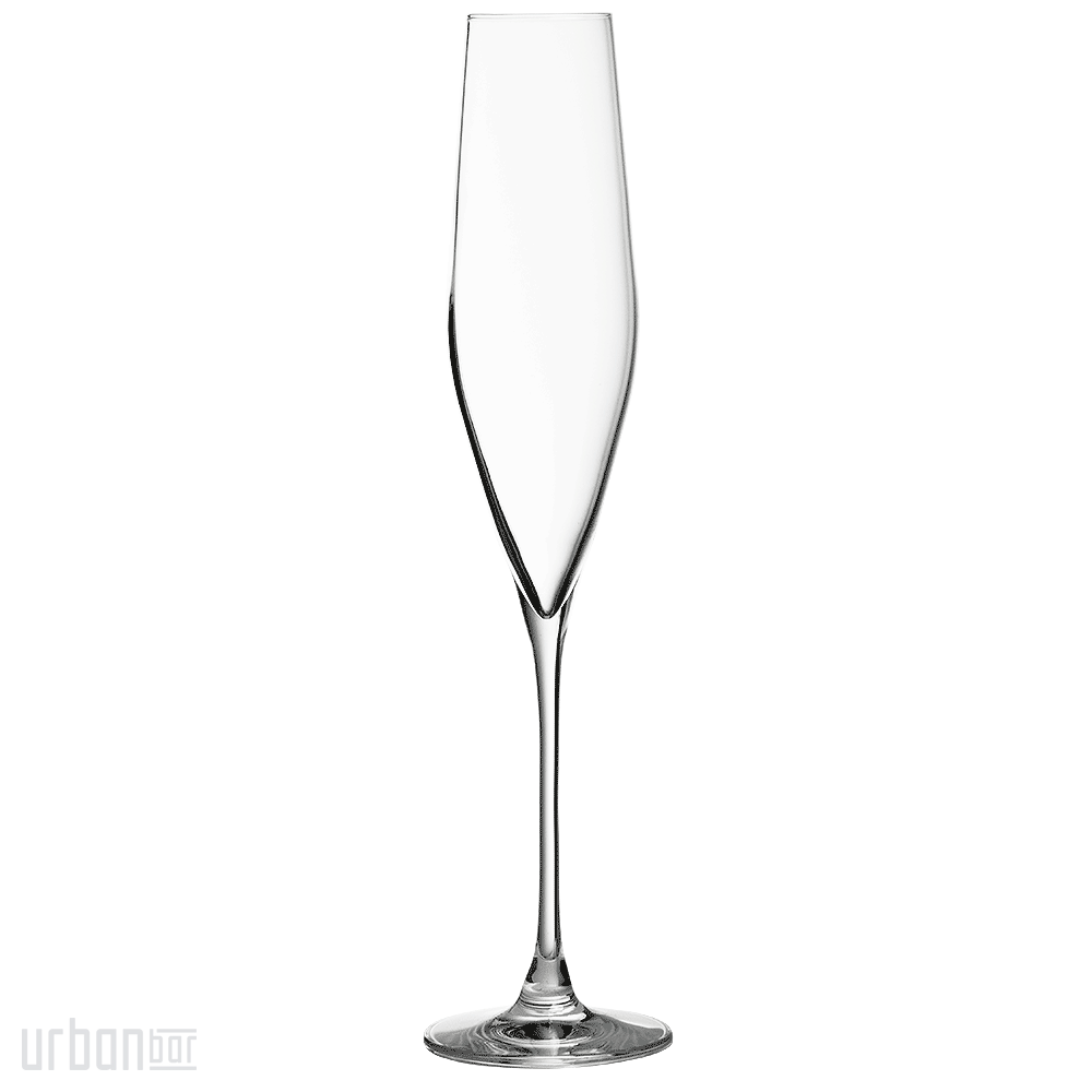 Copa de champán de cristal Bacci de 19 cl