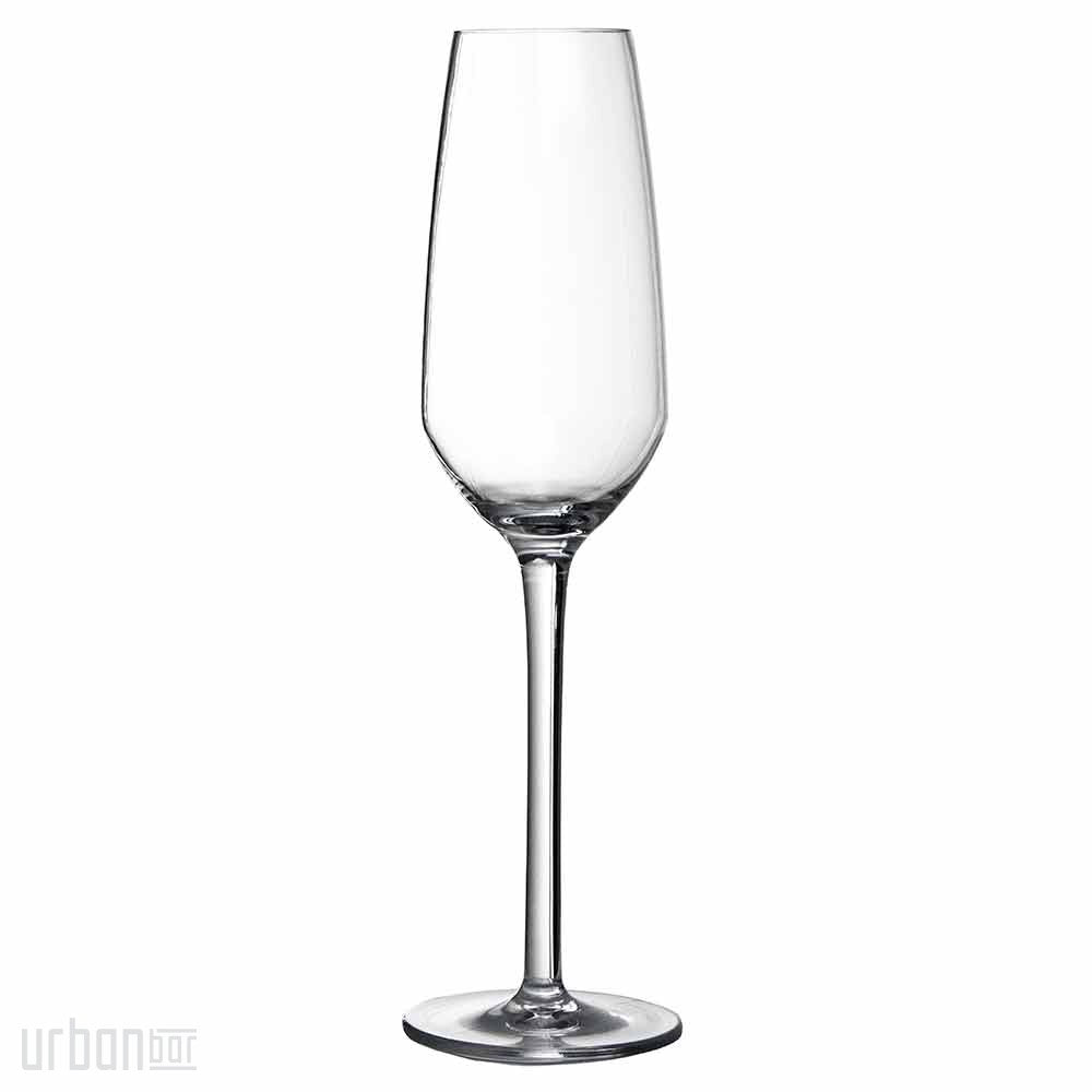 Iris Shatterproof Plastic Champagne Flute 24cl