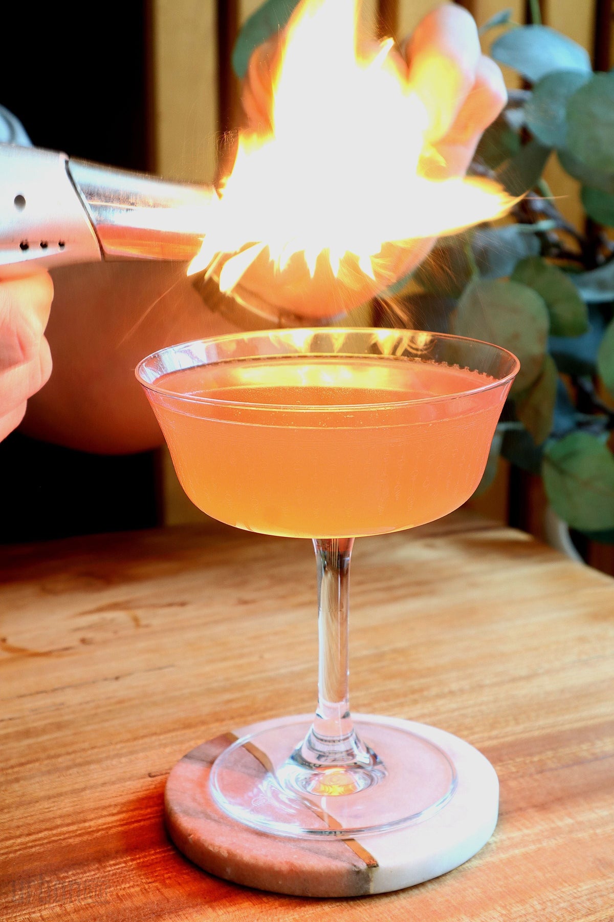1920 Fizzio Verre à champagne coupe 26cl