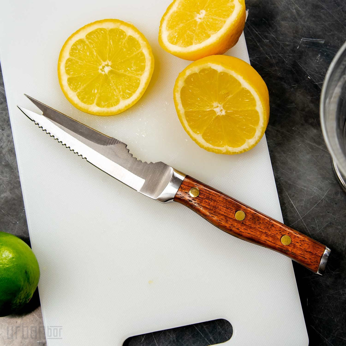 Cuchillo de cóctel de acero inoxidable de primera calidad Coley® con hoja de 11,5 cm