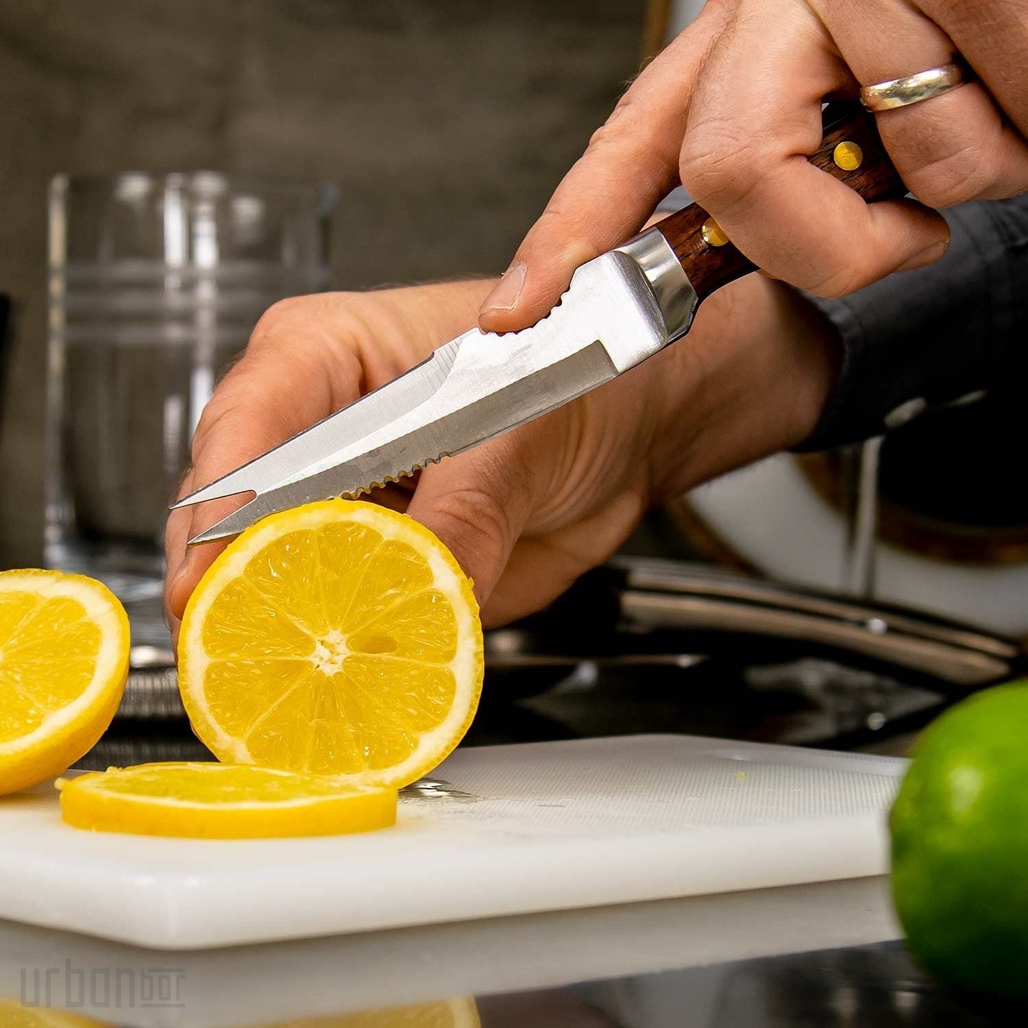 Cuchillo de cóctel de acero inoxidable de primera calidad Coley® con hoja de 11,5 cm