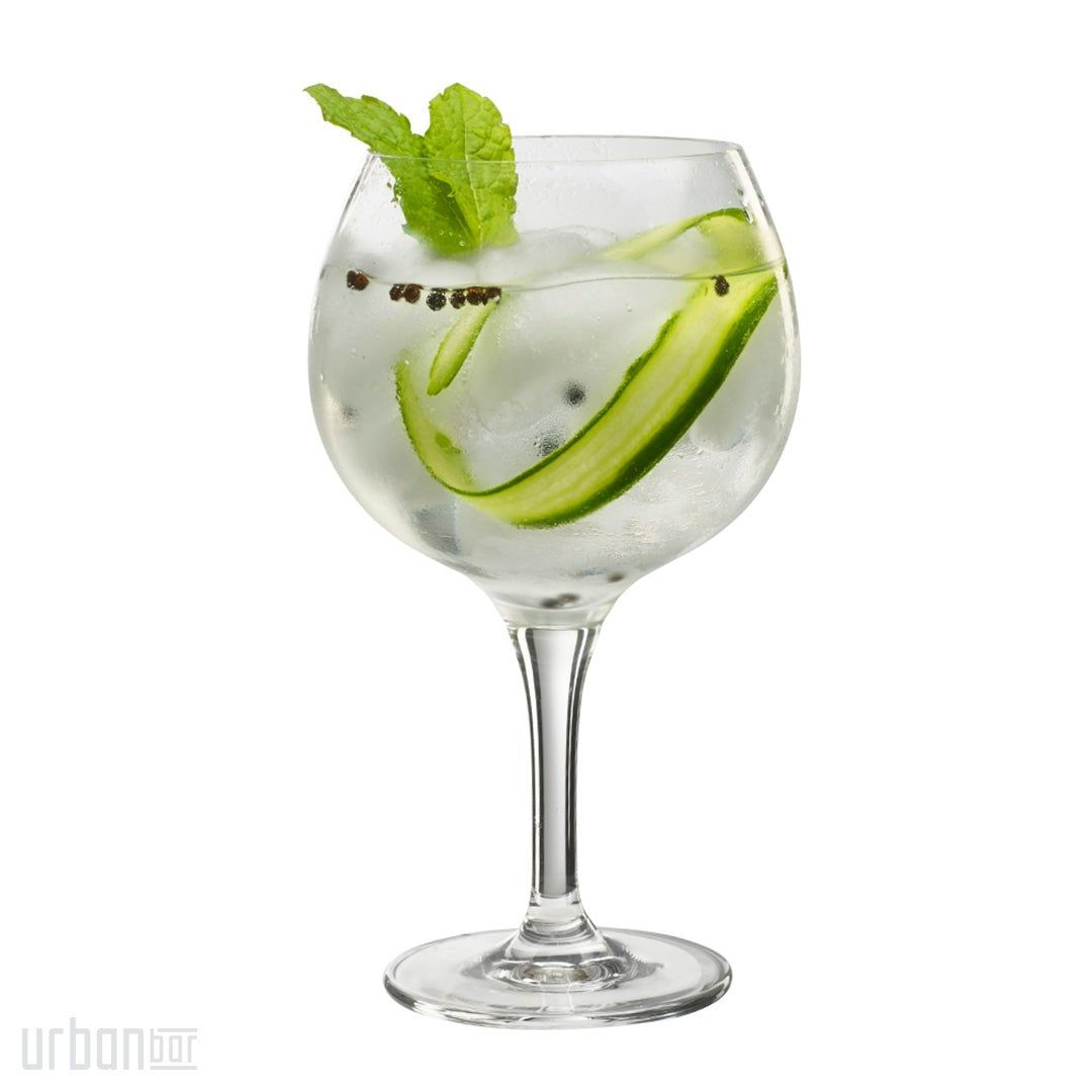 Copa de ginebra con balón de 60 cl