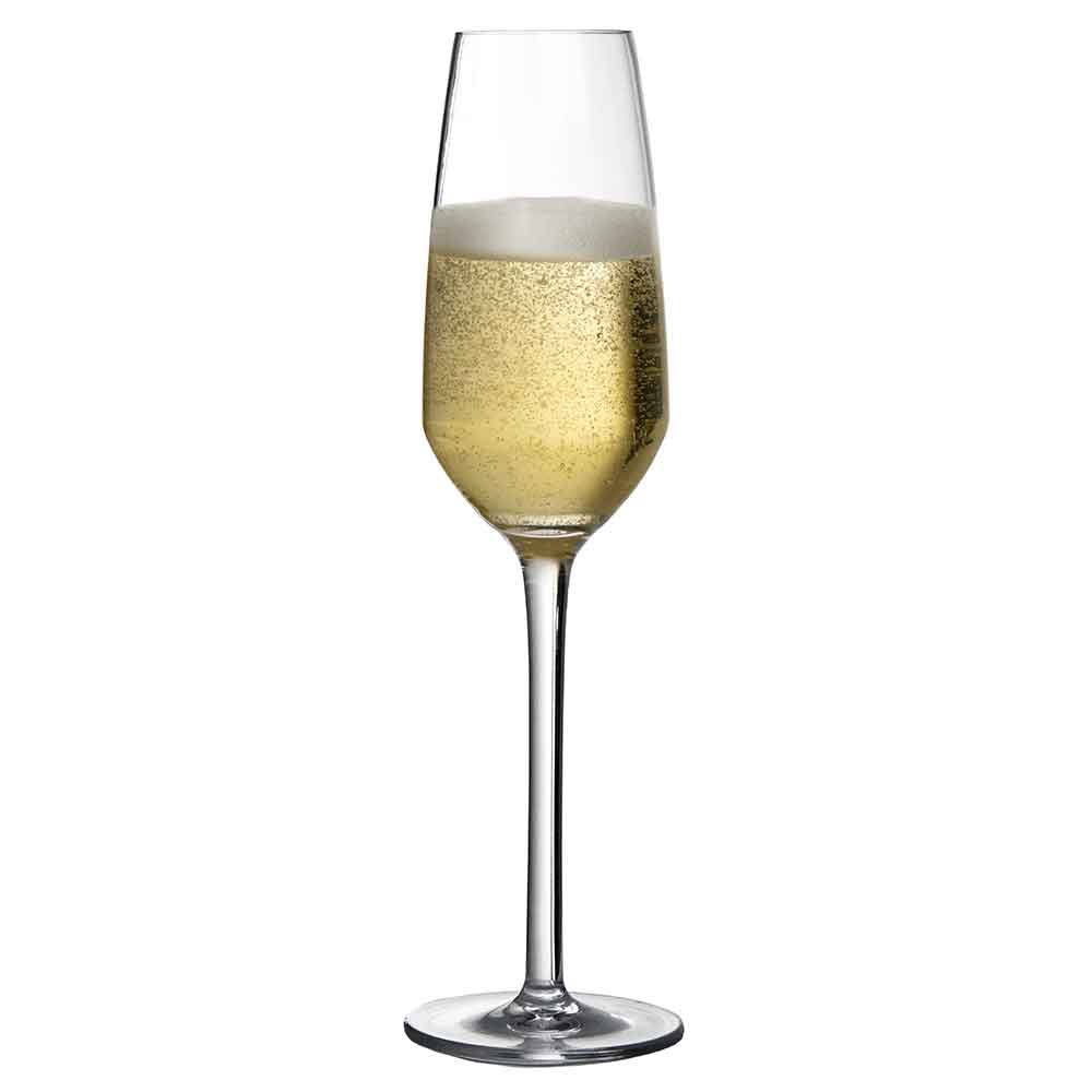Copa de champán de plástico irrompible Iris de 24 cl