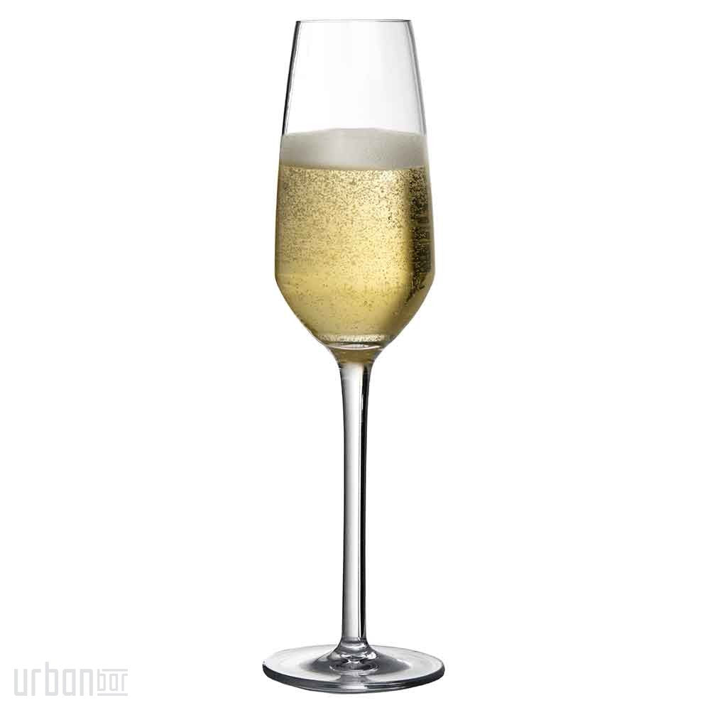 Iris Shatterproof Plastic Champagne Flute 24cl