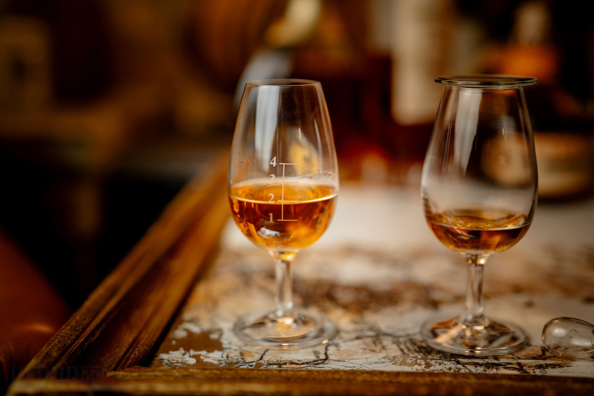 Vaso de cata de whisky de destilería de 14 cl