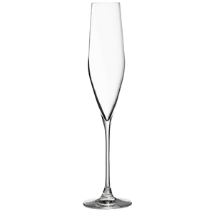 Bacci Crystal Champagne Flute 19cl